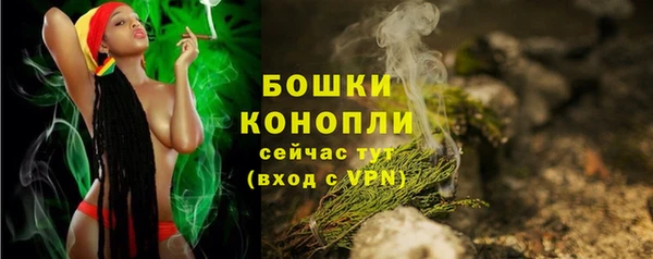 ГАЛЛЮЦИНОГЕННЫЕ ГРИБЫ Баксан