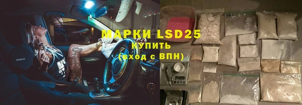 ГАЛЛЮЦИНОГЕННЫЕ ГРИБЫ Баксан