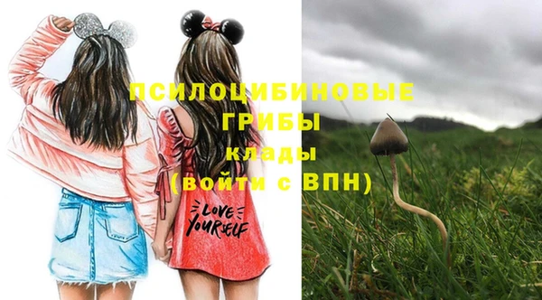 ГАЛЛЮЦИНОГЕННЫЕ ГРИБЫ Баксан