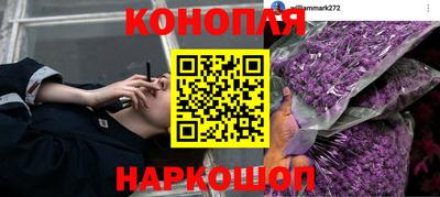 прущий лед Боровичи
