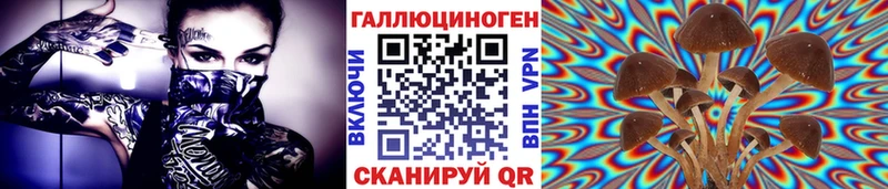 купить закладку  Баксан  Галлюциногенные грибы Psilocybine cubensis 