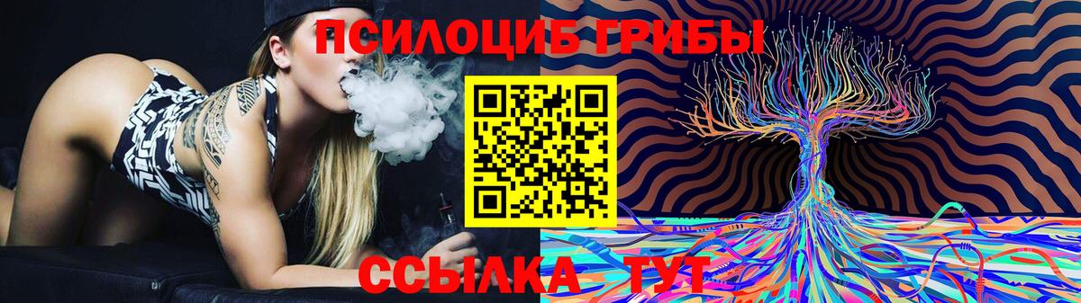 Баксан  как найти закладки  Вход с VPN  Псилоцибиновые грибы прущие грибы 
